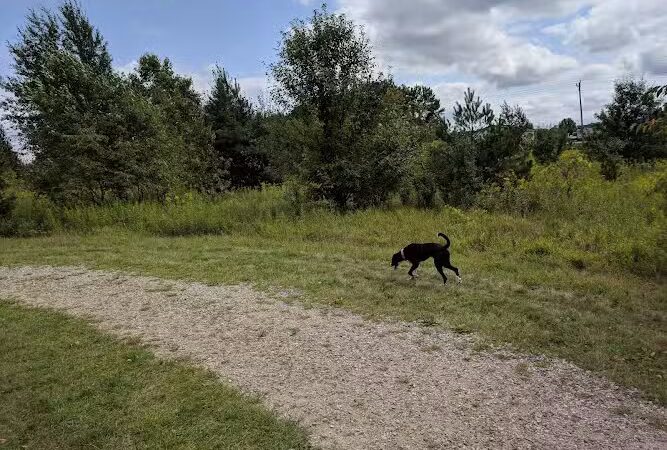 Cleary Lake Dog Park - Prior Lake, MN