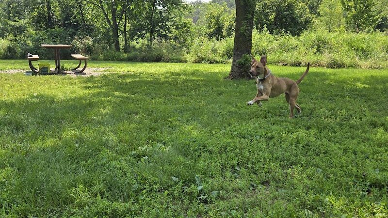 Spring Lake Dog Park - Prior Lake, MN