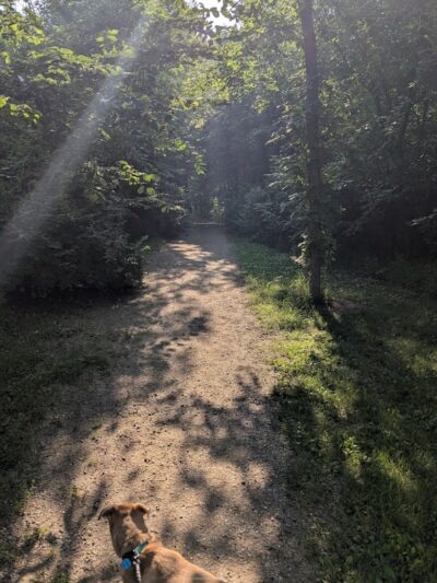 Spring Lake Dog Park - Prior Lake, MN