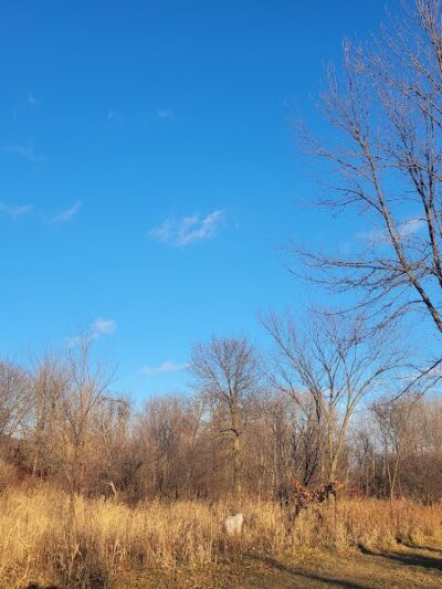 Spring Lake Dog Park - Prior Lake, MN