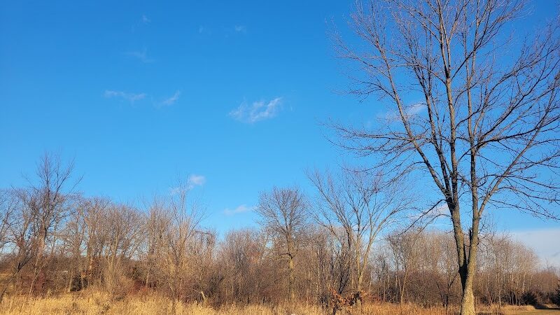 Spring Lake Dog Park - Prior Lake, MN