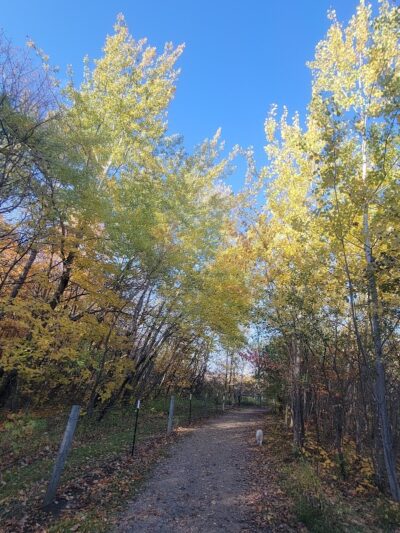 Spring Lake Dog Park - Prior Lake, MN