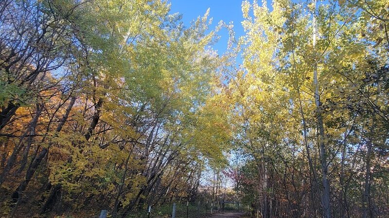 Spring Lake Dog Park - Prior Lake, MN