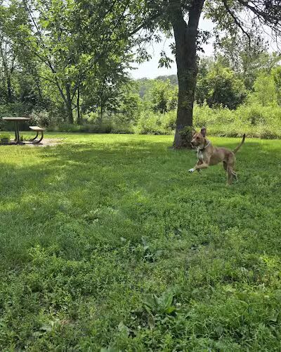 Spring Lake Dog Park - Prior Lake, MN