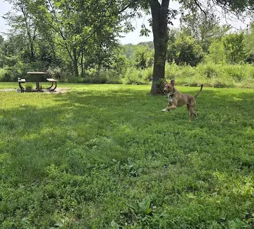 Spring Lake Dog Park - Prior Lake, MN