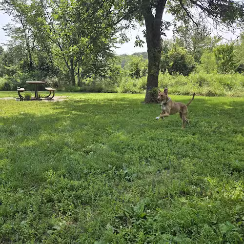 Spring Lake Dog Park - Prior Lake, MN