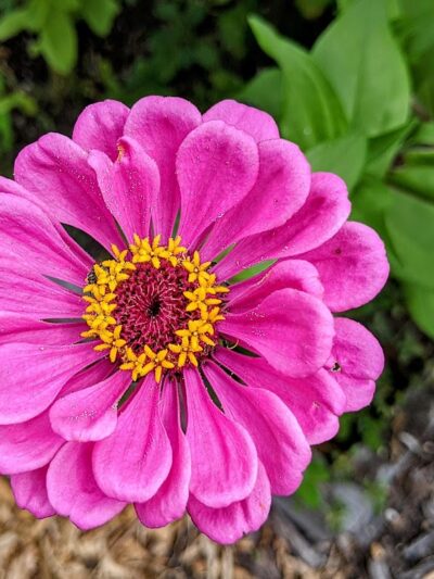 Sessions Street Park - Providence, RI