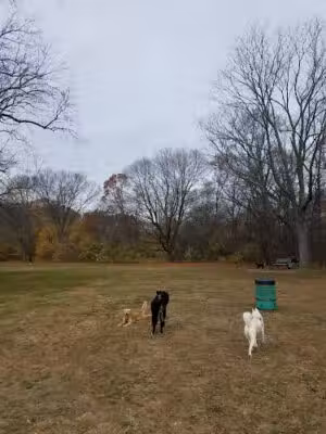 Wanskuck Park - Providence, RI
