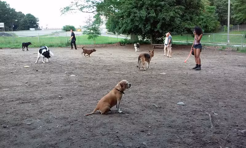 Waterman St. Dog Park - Providence, RI