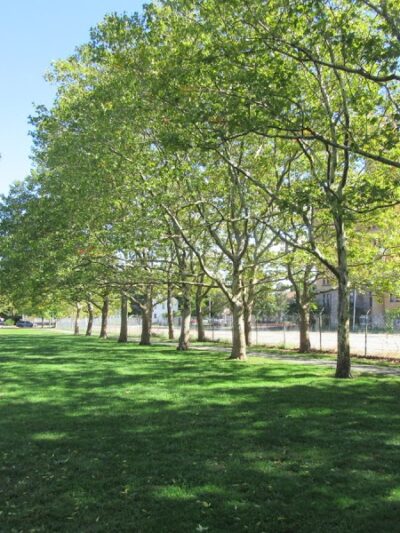 Dexter Training Ground - Providence, RI