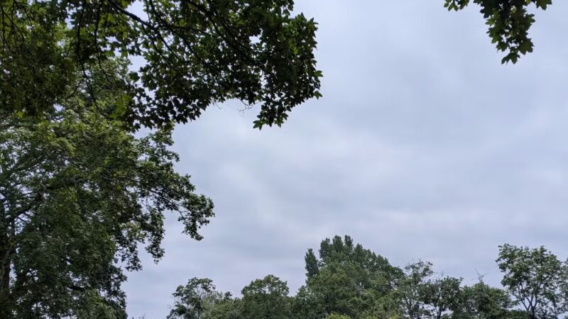 Wanskuck Park - Providence, RI