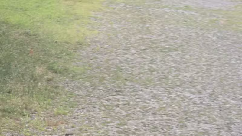 Wanskuck Park - Providence, RI