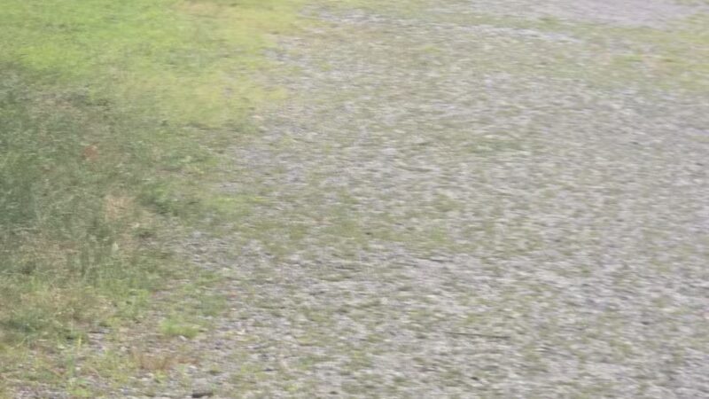 Wanskuck Park - Providence, RI