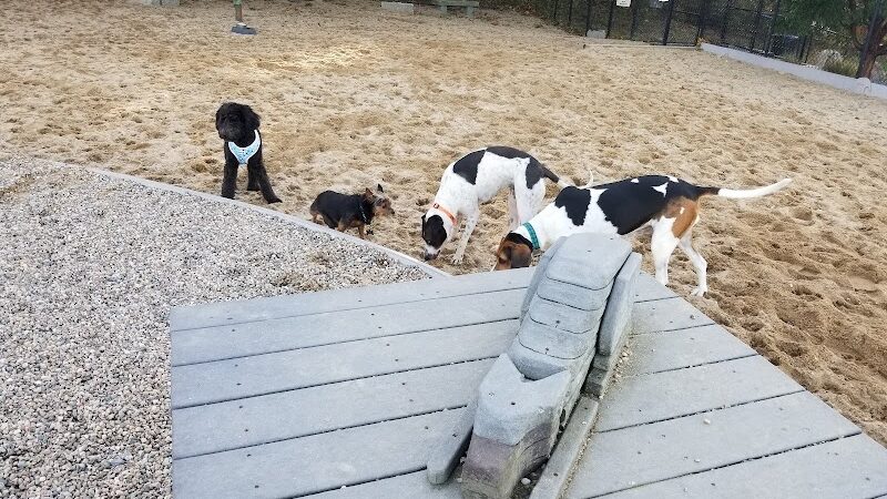 Pilgrim Bark Park - Provincetown, MA