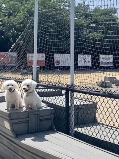 Pilgrim Bark Park - Provincetown, MA