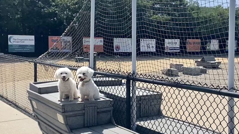 Pilgrim Bark Park - Provincetown, MA