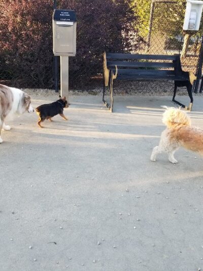 Pilgrim Bark Park - Provincetown, MA