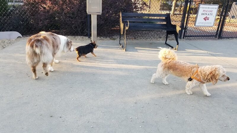 Pilgrim Bark Park - Provincetown, MA