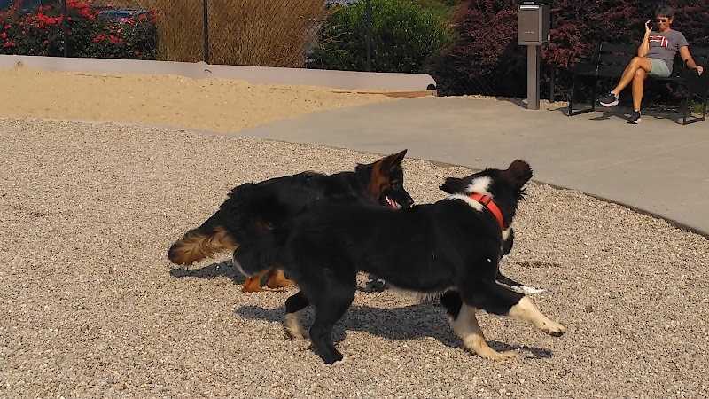 Pilgrim Bark Park - Provincetown, MA