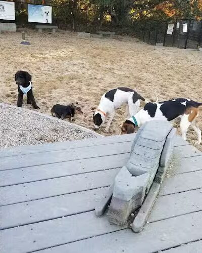 Pilgrim Bark Park - Provincetown, MA