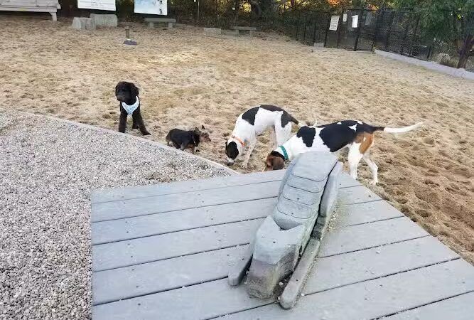 Pilgrim Bark Park - Provincetown, MA