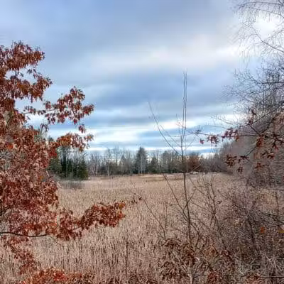 Backus Township Park - Prudenville,
