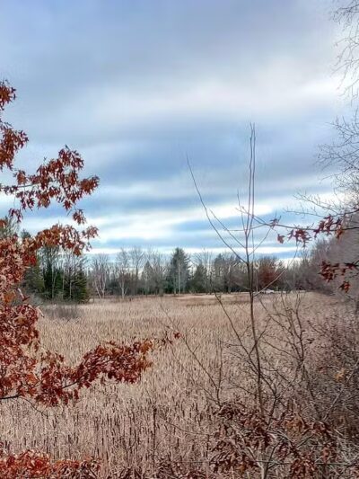 Backus Township Park - Prudenville,