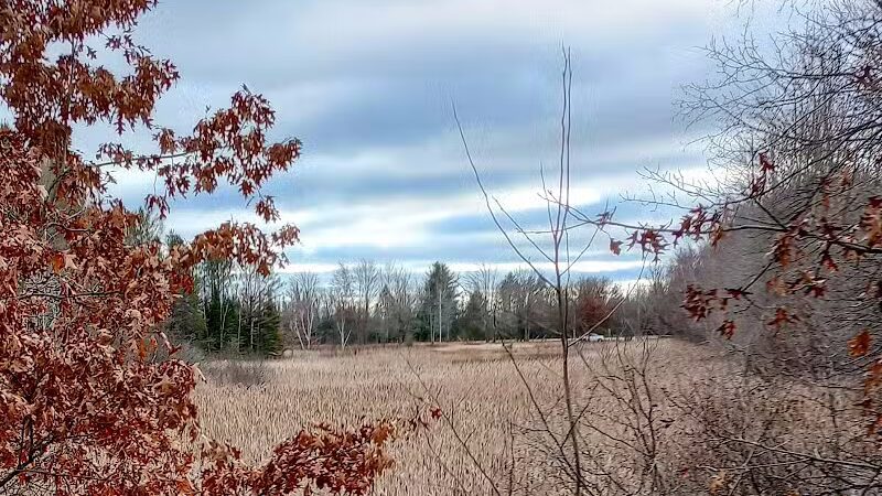 Backus Township Park - Prudenville,