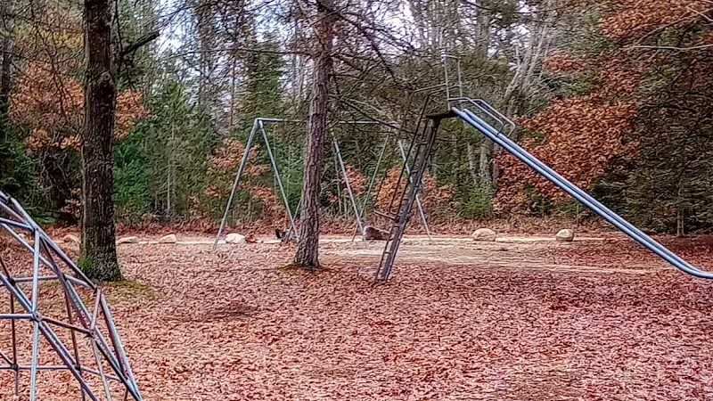 Backus Township Park - Prudenville,