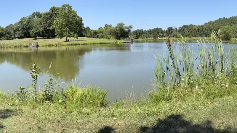 Franklin Park - Purcellville, VA