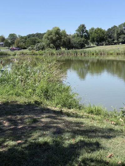 Franklin Park - Purcellville, VA