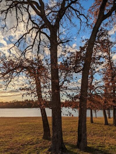 Oak Park - Purdon, TX