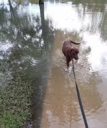 Oak Park - Purdon, TX