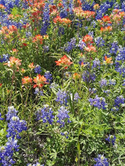 Pecan Point Park - Purdon, TX
