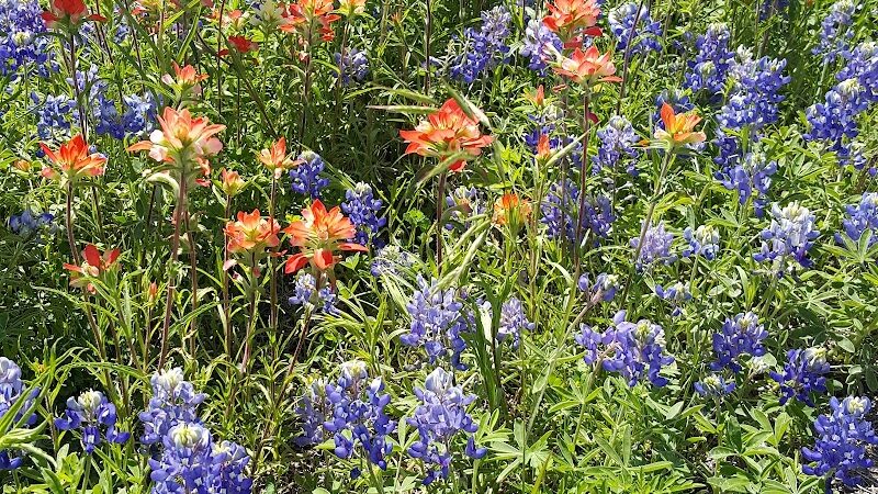 Pecan Point Park - Purdon, TX
