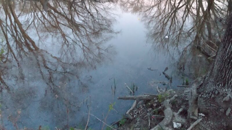 Pecan Point Park - Purdon, TX