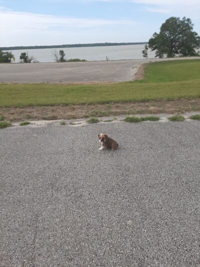 Pecan Point Park - Purdon, TX
