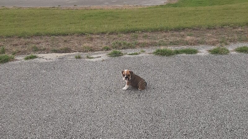 Pecan Point Park - Purdon, TX
