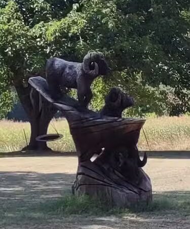 Pecan Point Park - Purdon, TX