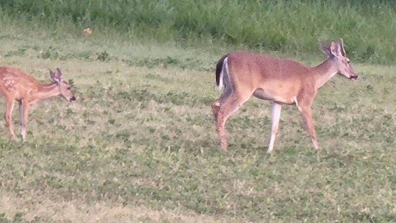 Wolf Creek Park - Purdon, TX