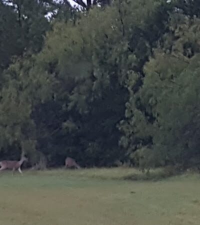 Wolf Creek Park - Purdon, TX