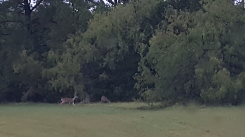 Wolf Creek Park - Purdon, TX