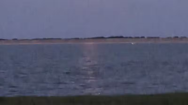 Wolf Creek Park - Purdon, TX