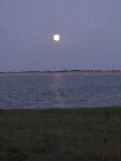 Wolf Creek Park - Purdon, TX