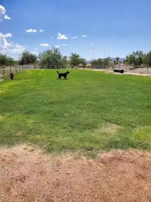Quartzsite Dog Park - Quartzsite, AZ