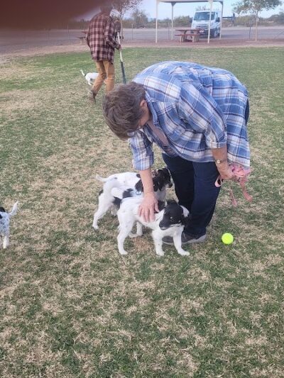 Quartzsite Dog Park - Quartzsite, AZ