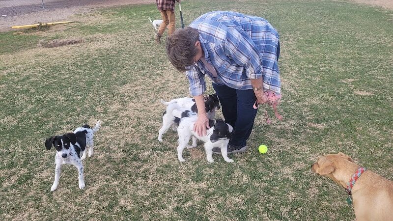 Quartzsite Dog Park - Quartzsite, AZ