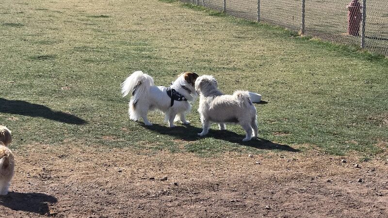 Quartzsite Dog Park - Quartzsite, AZ