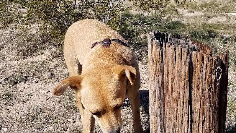 Quartzsite Dog Park - Quartzsite, AZ