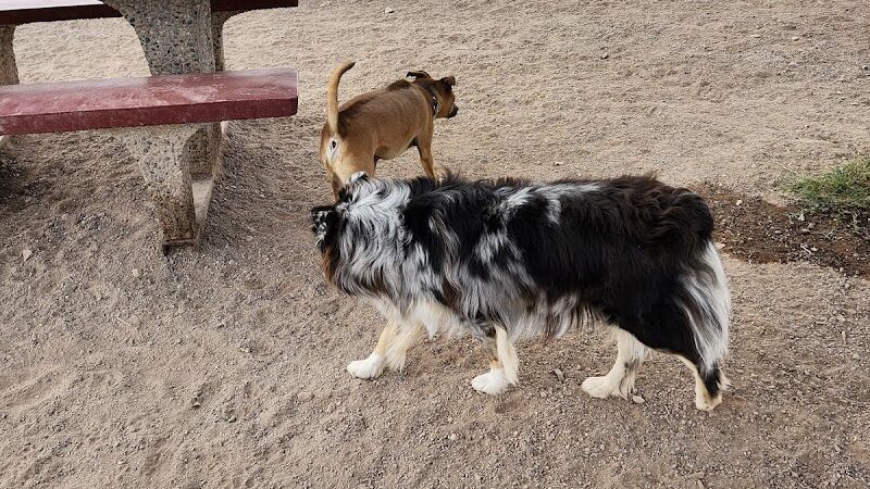 Quartzsite Dog Park - Quartzsite, AZ